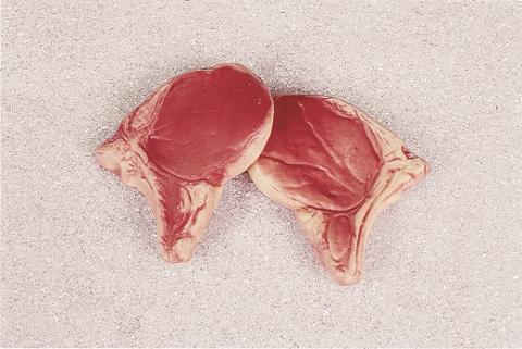 Braciola di maiale artificiale x 2 pezzi in plastica Sconti per Fioristi, Wedding e Aziende