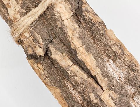 Corteccia di Catappa Bark x 6 -  Sconti per Fioristi e Aziende . -  cm. 25 x 7