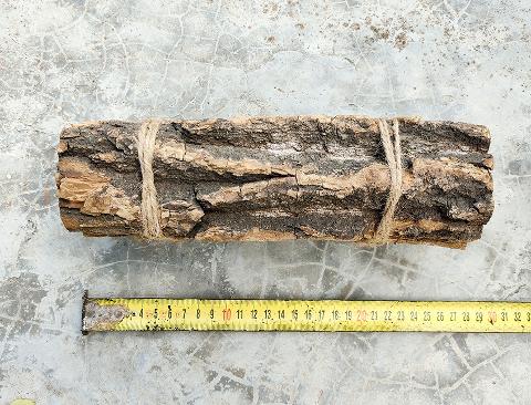 Corteccia di Catappa Bark x 6 -  Sconti per Fioristi e Aziende . -  cm. 25 x 7