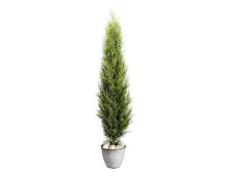 Thuja Verde Emerald H 150 - Sconti per Fioristi e Aziende . Artificiale in vaso