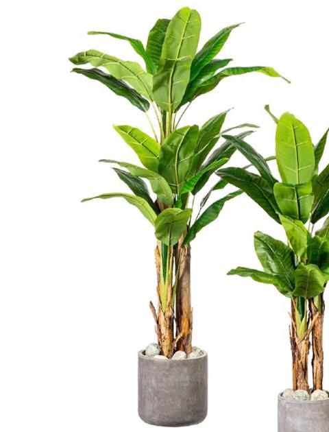 Banano H 180 Artificiale x 3 con 25 foglie e vaso - Sconti per Fioristi e Aziende