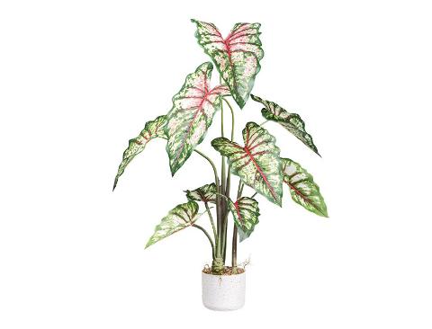 Caladium H 100 con 9 foglie - Sconti per Fioristi e Aziende - Artificiale con vaso