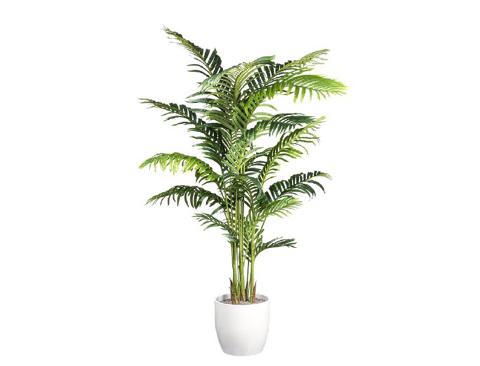 Kenzia palm H 160 in vaso - Sconti per Fioristi e Aziende . - Artificiale