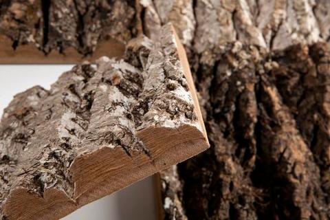 Corteccia di Sughero al Kg.- Sconti per Fioristi e Aziende . - Spessore 2-3 cm. circa