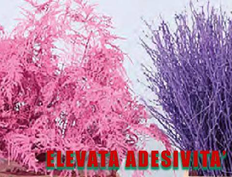 Colorante per immersione - Kg.3 per fiori e fronde . - Oro e Rame da Usare con collante