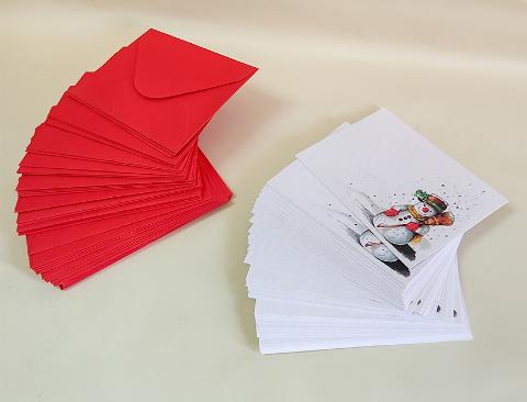 Bigliettini Stampa Natalizia  - Sconti per Fioristi e Aziende - x 50  con busta rossa
