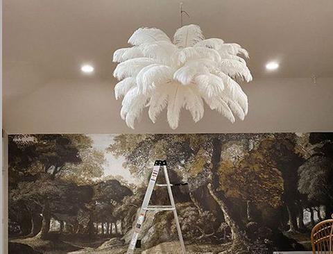 Piume di struzzo cm. 60/70  - Sconto per Fioristi e Aziende - in vari colori