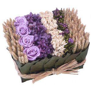 Portaspugna cm 22 x 23 H 6 - Sconti per Fioristi e Aziende - Confezione da 6 pezzi