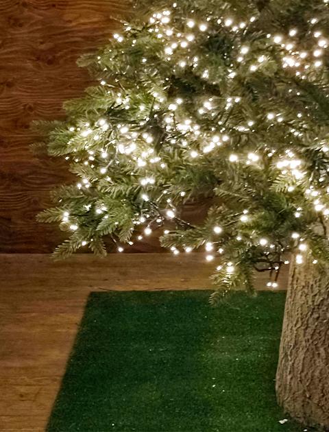 Albero Luxury abete c/ Led -  Sconti per Fioristi e Aziende - H 180/210/240 in PE+PVC