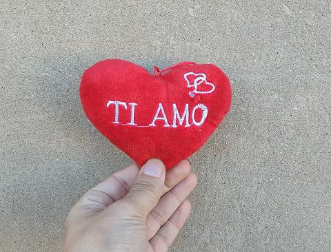Cuscino Cuore Velluto Rosso - Sconti per Fioristi e Aziende - Dm. 12 con scritta Ti amo