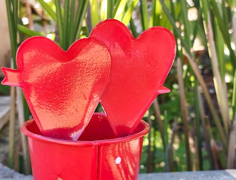 Secchiello cuori in latta H cm. 7 Adatto per Fioristi, Garden e San Valentino
