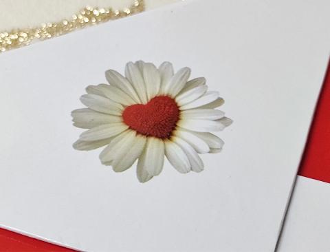 Scatola con margherita cuore magnetica adatto a San Valentino - Sconti per Fioristi e Aziende