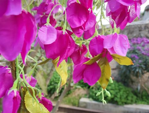 Bouganvillea cadente Fuxia H 130 cm Artificiale - Sconti per Fioristi e Aziende e Wedding