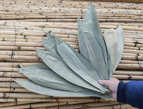 Foglie Naturali di Mais Dry stesa   - Sconti per Fioristi e Aziende  - Confezione 10 foglie