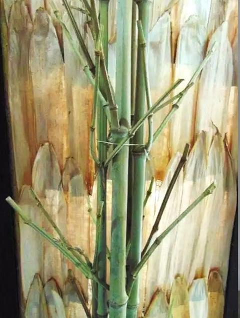 Canne bamboo puntate H 120 conf. 5 pezzi - Sconti per Fioristi e Aziende  CANNA BAMBOO NATURALE
