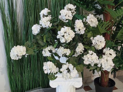 Geranio Cadente H 56 Lux - Sconti per Fioristi e Aziende Fiorissima in poliester vellutato
