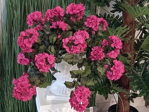 Geranio Cadente H 56 Lux - Sconti per Fioristi e Aziende Fiorissima in poliester vellutato