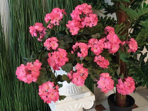 Geranio Cadente H 56 Lux - Sconti per Fioristi e Aziende Fiorissima in poliester vellutato