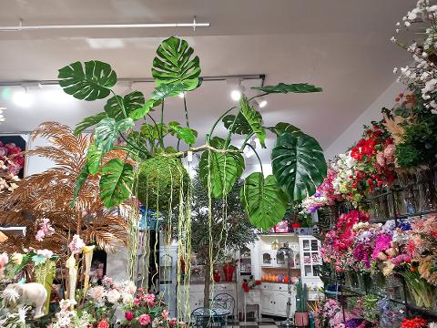 Monstera Kokedama H 120 - Sconto per Fioristi e Aziende . - Artificiale con 19 foglie su sfeta