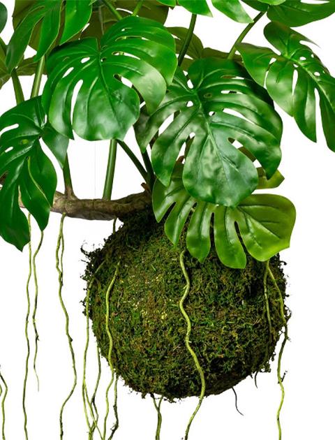 Monstera Kokedama H 120 - Sconto per Fioristi e Aziende . - Artificiale con 19 foglie su sfeta