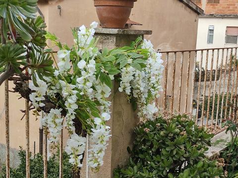 Glicine x 3  H 85 in poliester - Sconti per fioristi e aziende . - Vari colori