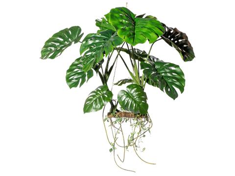 Monstera Pensile H 100 - Sconto per Fioristi e Aziende Artificiale su tronco c/15 foglie