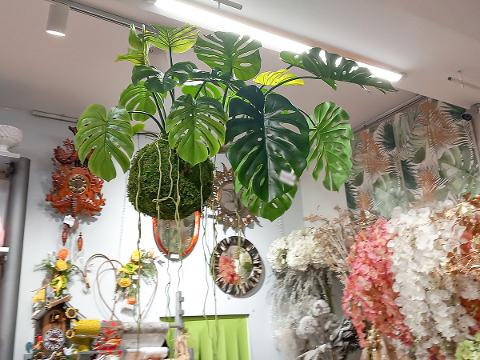 Monstera Kokedama H 120 - Sconto per Fioristi e Aziende . - Artificiale con 19 foglie su sfeta