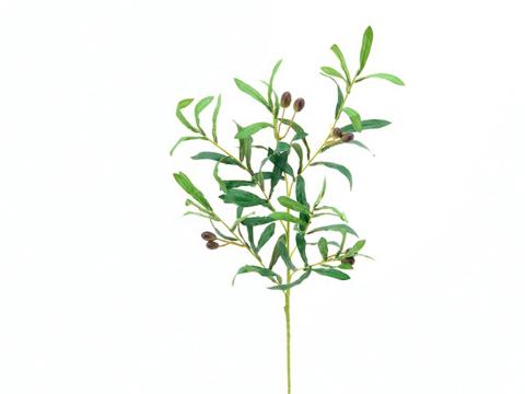 Ramo Olivo H 90 con foglie e olive - Sconto per Fioristi e Aziende