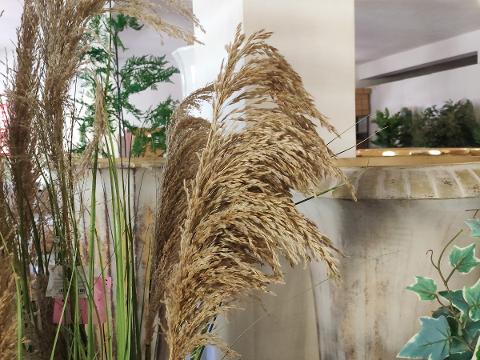 Pianta di Pampas H 170 - Sconti per Fioristi e Aziende . - Artificiale con Grass