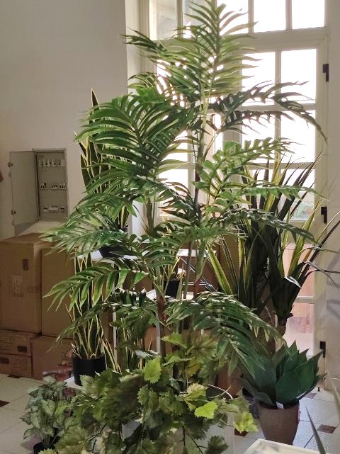Areca Palm H 110 con vaso  - Sconti per Fioristi e Aziende . - Artificiale real touch