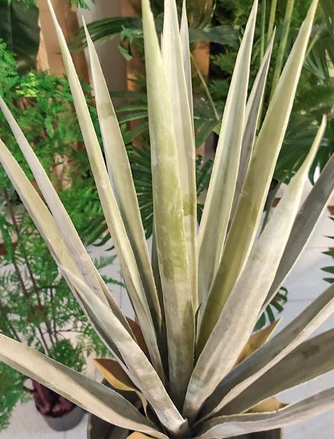 Agave Seal H 75  con vaso - Sconti per Fioristi e Aziende - Artificiale