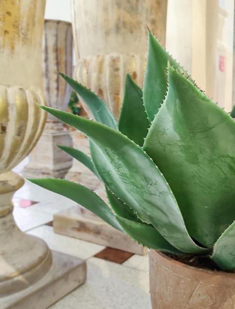 Agave H 56 in gomma - Sconti per Fioristi e Aziende . - Artificiale in vaso