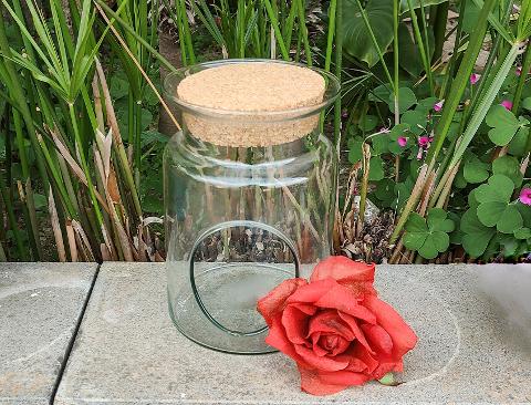 Ampolla Terrarium con foro H 20 dm.14 - Sconti per Fioristi e Aziende