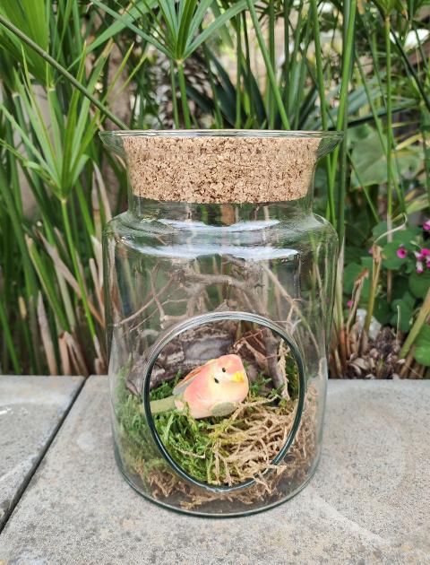 Ampolla Terrarium con foro H 20 dm.14 - Sconti per Fioristi e Aziende