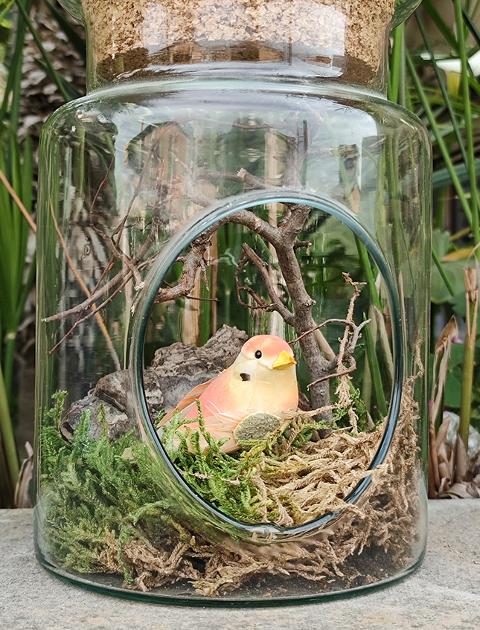 Ampolla Terrarium con foro H 20 dm.14 - Sconti per Fioristi e Aziende