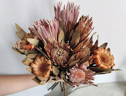 Protea Rosetta x 10 naturale stabilizzata - Sconti per Fioristi e Aziende