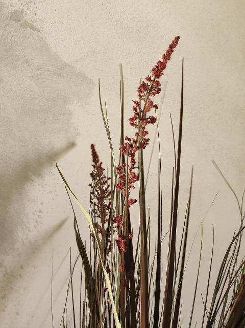 Onion Grass Verde/Rosso - Sconto per Fioristi e Aziende - Artificiale