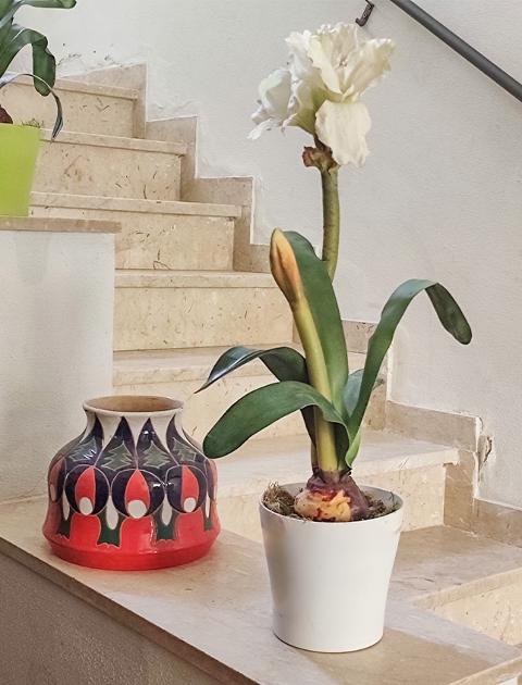 Amaryllis artificiale H 65 in vaso   - Sconto per Fioristi e Aziende