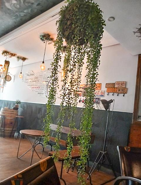 Ruscus Kokedama H 160  - Sconto per Fioristi e Aziende - In gomma su Sfera dm.30