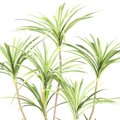 Dracena H 180 con 10 ciuffi - Sconti per Fioristi e Aziende . - Artificiale con vaso