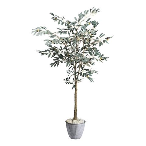 Olivo H 150 con 495 Lvs - Sconti per Fioristi e Aziende .. - Artificiale con vaso