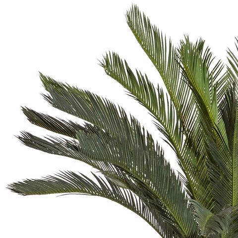 Cicas Palm H 130 con 29 Lvs - Sconti per Fioristi e Aziende . - Artificiale con vaso