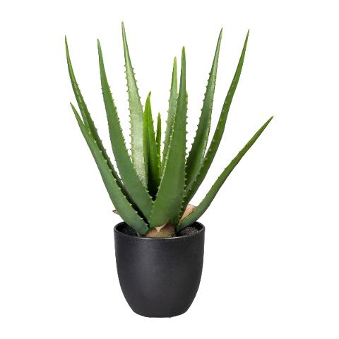 Aloe x 16 H 47 con vaso - Sconti per Fioristi e Aziende - Artificiale