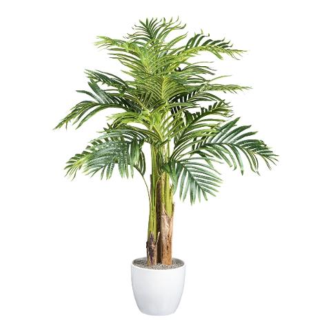 Areca Palm H 130 in vaso - Sconti per Fioristi e Aziende  - Artificiale