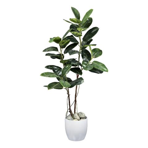 Ficus Elastica Verde H 150 - Sconti per Fioristi e Aziende  - Artificiale con vaso