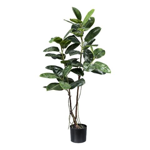 Ficus Elastica Verde H 150 - Sconti per Fioristi e Aziende  - Artificiale con vaso