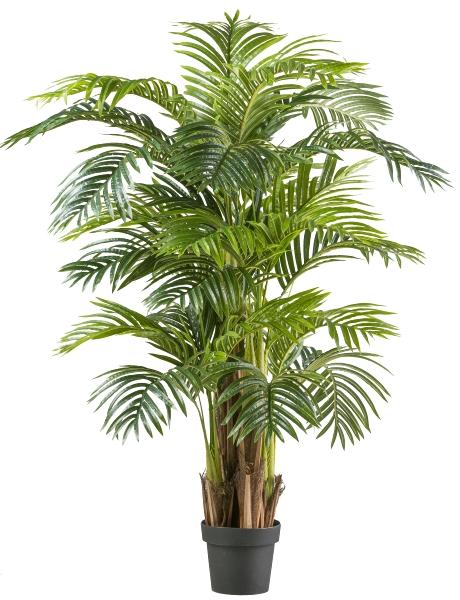 Areca Palm x 3 H 130 in vaso - Sconti per Fioristi e Aziende  - Artificiale