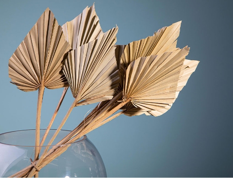 Palm Spear H 55 Naturale - Sconti per Fioristi e Aziende - Confezione da 10 foglie