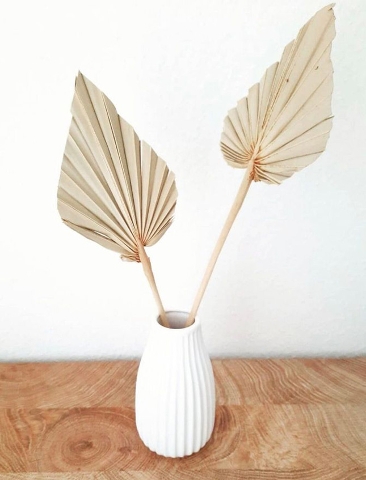 Palm Spear H 55 Naturale - Sconti per Fioristi e Aziende - Confezione da 10 foglie
