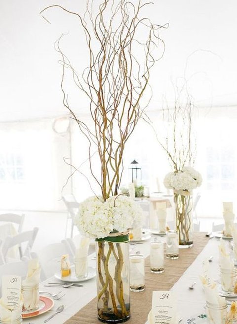 Nocciolo Contorto H 300 x 5  - Sconti per Fioristi e Aziende - Salix Eillow naturale